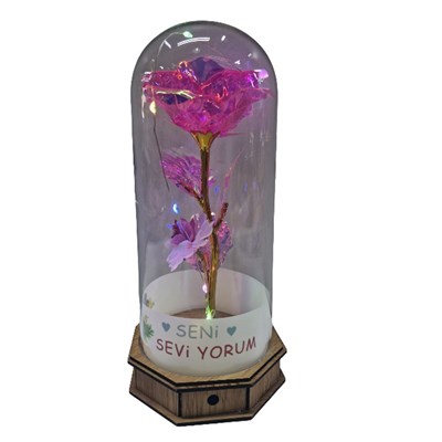 Kutulu 9e Işıklı Cam Fanus Love