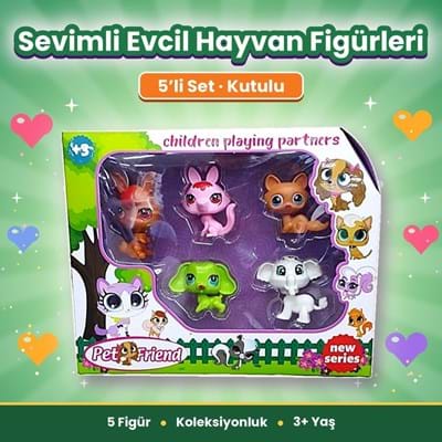 Kutulu 2054 Pet Friend Mini Hayvanlar 5li